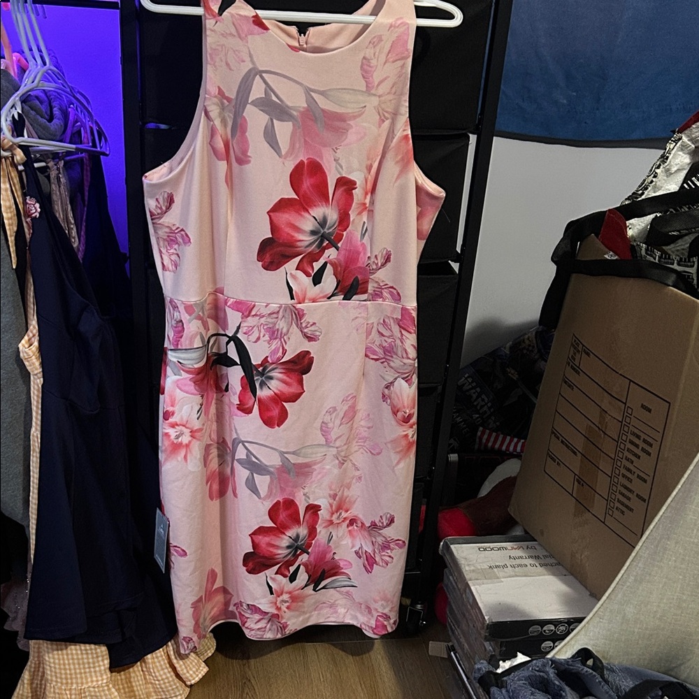 Le Chateau Blush and Red Floral Midi Dress